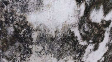 Siyah beyaz resimli kirli bir duvar.