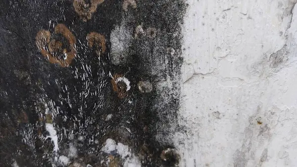 Yangın musluğu olan siyah beyaz bir duvar.