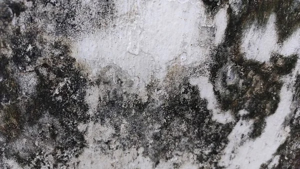 Siyah beyaz resimli kirli bir duvar.