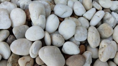 Baltık Denizi kıyısında deniz çakıl taşları