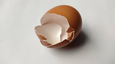 Kırık tavuk yumurtası.