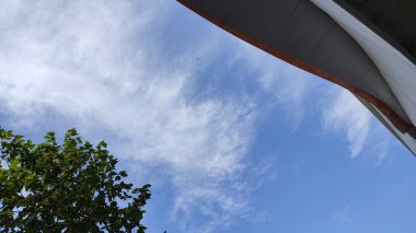 New York şehrinin manzarası