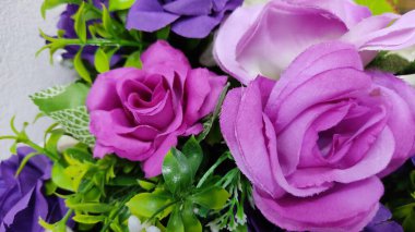 Bahçedeki güzel çiçekler