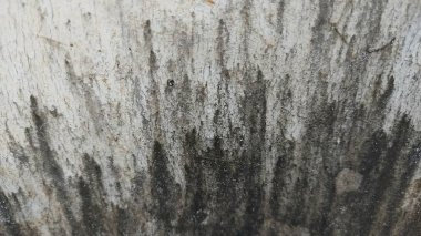 bir deseni olan eski ahşap arkaplan