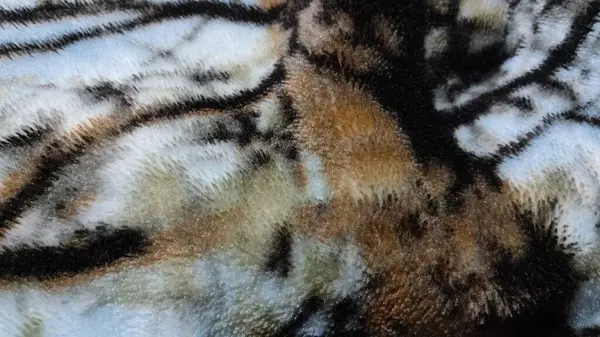 leopard fur texture. animal skin texture.