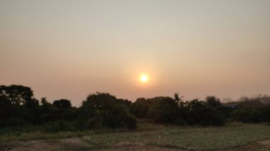 Ormanda güzel bir gün batımı