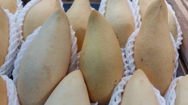 Pazarda taze ekmeği kapatın.