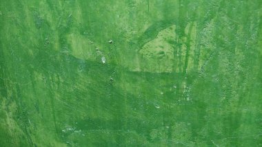 Boyanın yeşil dokusu