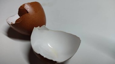 Siyah zemin üzerinde kırık beyaz kabuk