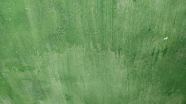 metin için alanı olan yeşil arkaplan