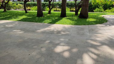 Parkın güzel manzarası