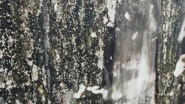 eski ahşap duvar arkaplanı