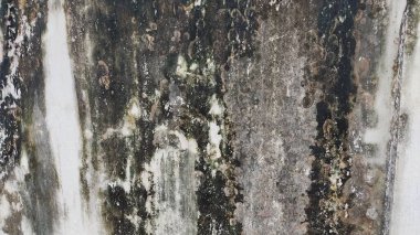 Beton duvar desenli arka plan