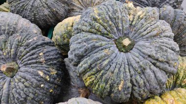 Markette taze yeşil kabak