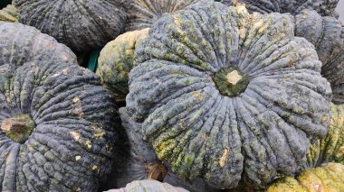 pazardaki balkabağı