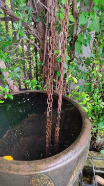 Parkın güzel manzarası