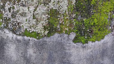 eski tuğla duvar dokusu