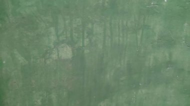 eski yeşil doku arkaplanı