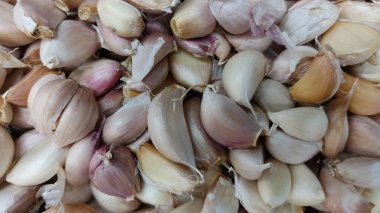 Piyasada taze organik mısır.