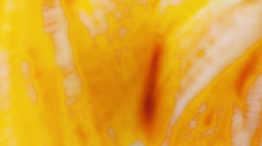 Güneş ışığında portakallı balkabağı..