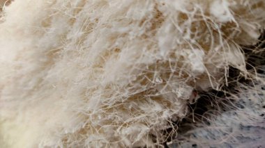 beyaz pamuklu kumaş dokusu