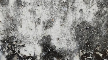 grunge beton duvar dokusu