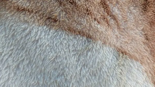 kahverengi ve beyaz kürk dokusu arkaplanı
