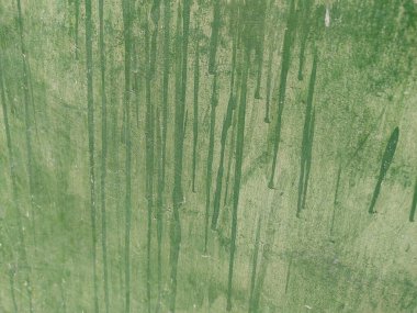 yeşil duvar arkaplanı, soyut doku