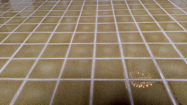 Banyo desenli mozaik fayanslar.