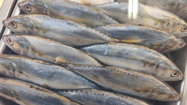 Pazarda taze balığa yakın durun.