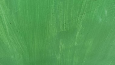 Soyut yaprak arkaplanı. Doğa, yeşil