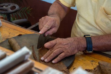 Küba 'da puro sararken yakın çekim