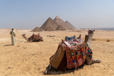 Renkli eyerli bir deve piramitlerin önünde sahibini bekliyor. Kahire 'de Giza' nın güzel bir gökyüzü var.