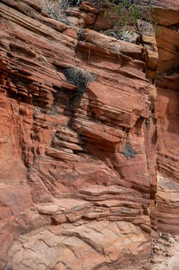 Arizona 'da kırmızı kaya oluşumuna yakın durun.