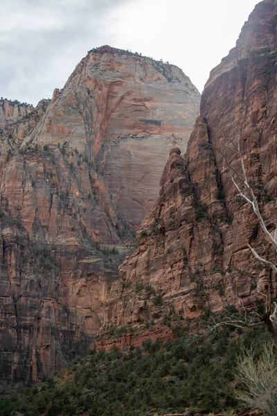 Zion Ulusal Parkları Büyük kırmızı kayalar