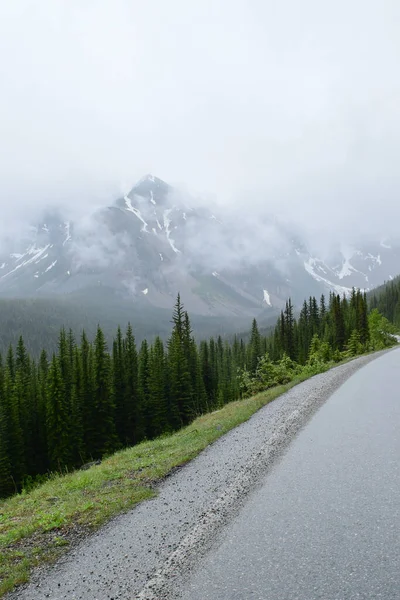 Krásná Cesta Kanadských Skalistých Horách Obklopená Zelenými Stromy — Stock fotografie
