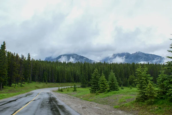 Hermoso Camino Las Montañas Rocosas Canadienses Rodeado Árboles Verdes —  Fotos de Stock