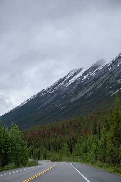 Дорога Канадских Роки Маунтинс Окружена Зелеными Деревьями — стоковое фото