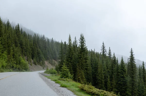Kanada Rocky Dağları Nda Yeşil Ağaçlarla Çevrili Güzel Bir Yol — Stok fotoğraf