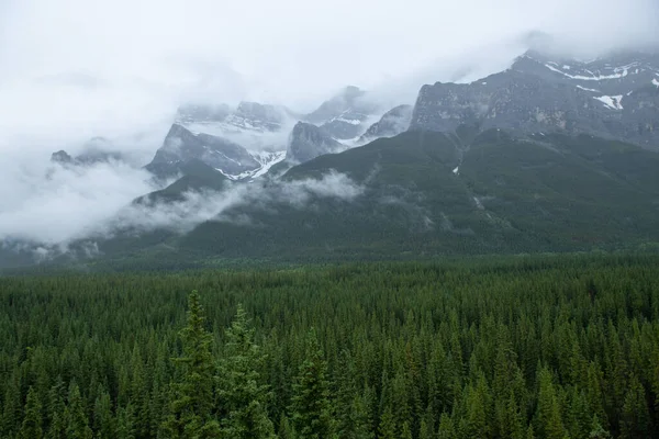 Karla Kaplı Dağ Zirvesi Çam Ormanları Boyunca Kanada Kayalıkları Nın — Stok fotoğraf