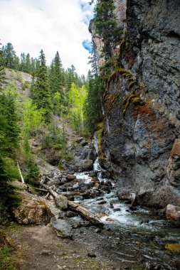 Banff Canada 'da kayalar ve ormanlar arasında güzel şelaleler