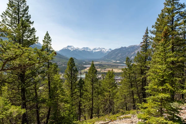 Banff Canada Daki Tünel Dağ Patikasından Güzel Dağlar Ağaçlar Manzarası Stok Resim