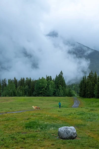 Uomo Che Cammina Campo Verde Con Suo Cane Con Montagne — Foto Stock