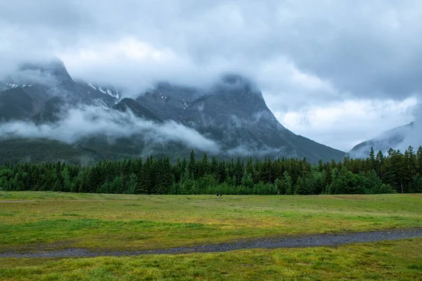 Yeşil Çayırları Banff Canada Asfaltsız Bir Yolu Olan Puslu Görkemli — Stok fotoğraf