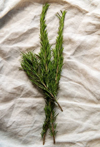 Doğal keten kumaşlı taze biberiye organik aromatik bitki.