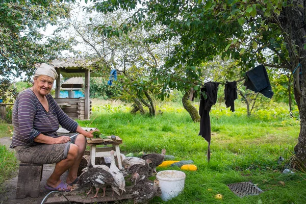 stock image On a bright sunny day in the summer in the village, an old woman sits in the yard and prepares food for turkeys.