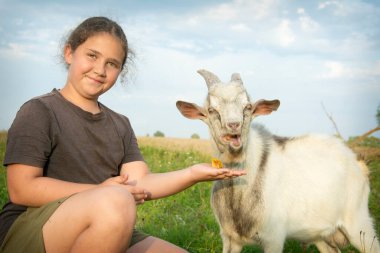 Yazın, tarlada bir kız beyaz bir keçiyi besler..