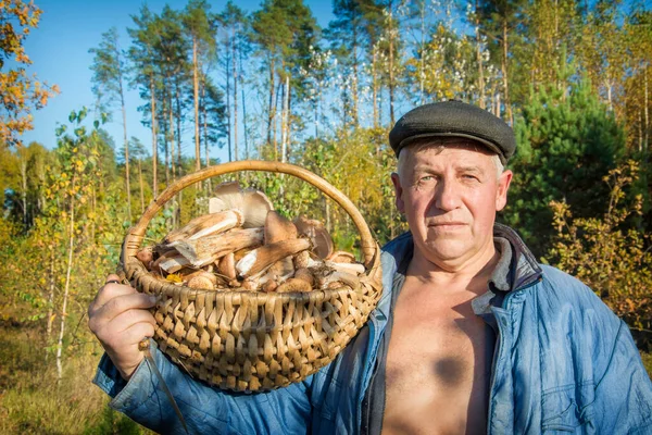 In the autumn forest, a man mushroom picker collected a basket of mushrooms.