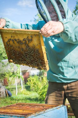 Arı yetiştiricisi arılarla ve arı kovanlarıyla çalışıyor..