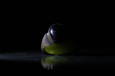 Sarı taşta halka var. Stüdyomda hangi yarım ışık olursa olsun bu resme tıklıyorum..